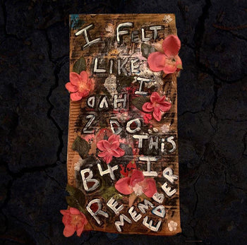 gid://shopify/MediaImage/10073107038341