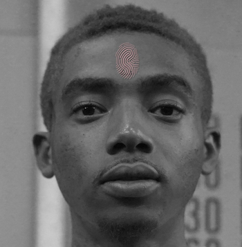 gid://shopify/MediaImage/21687474651269