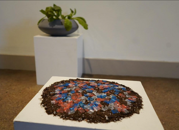 gid://shopify/MediaImage/21687475732613