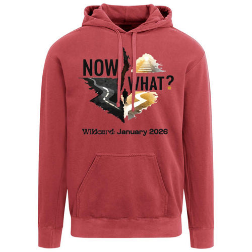 NOW WHAT? — Garment-Dyed Hoodie